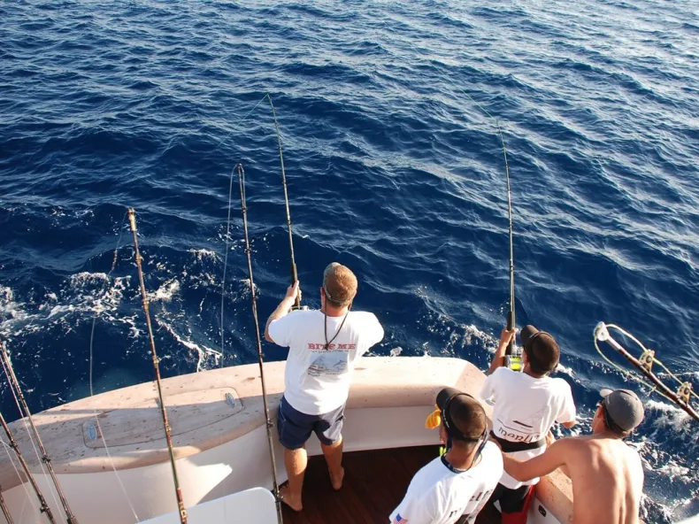 Alanya Fishing Trip: A Relaxed Day Angling on the Mediterranean