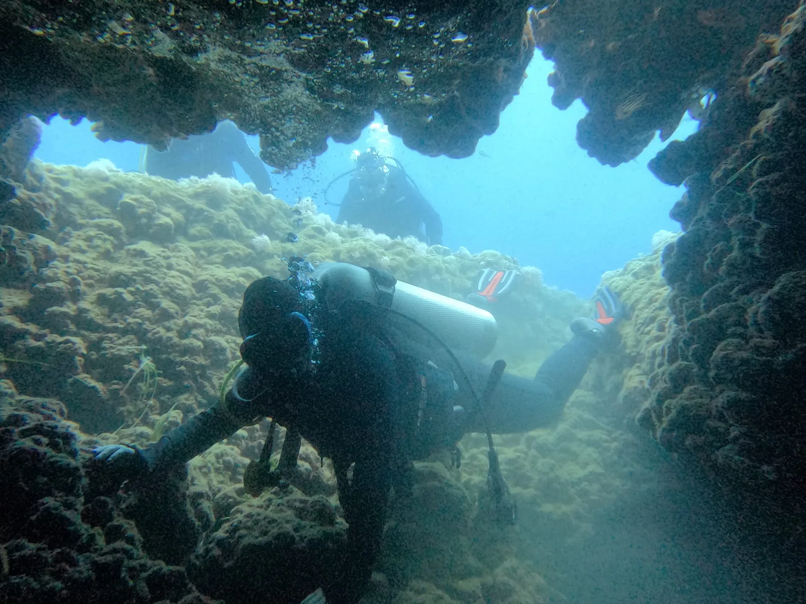 diver underwater canyon alanya