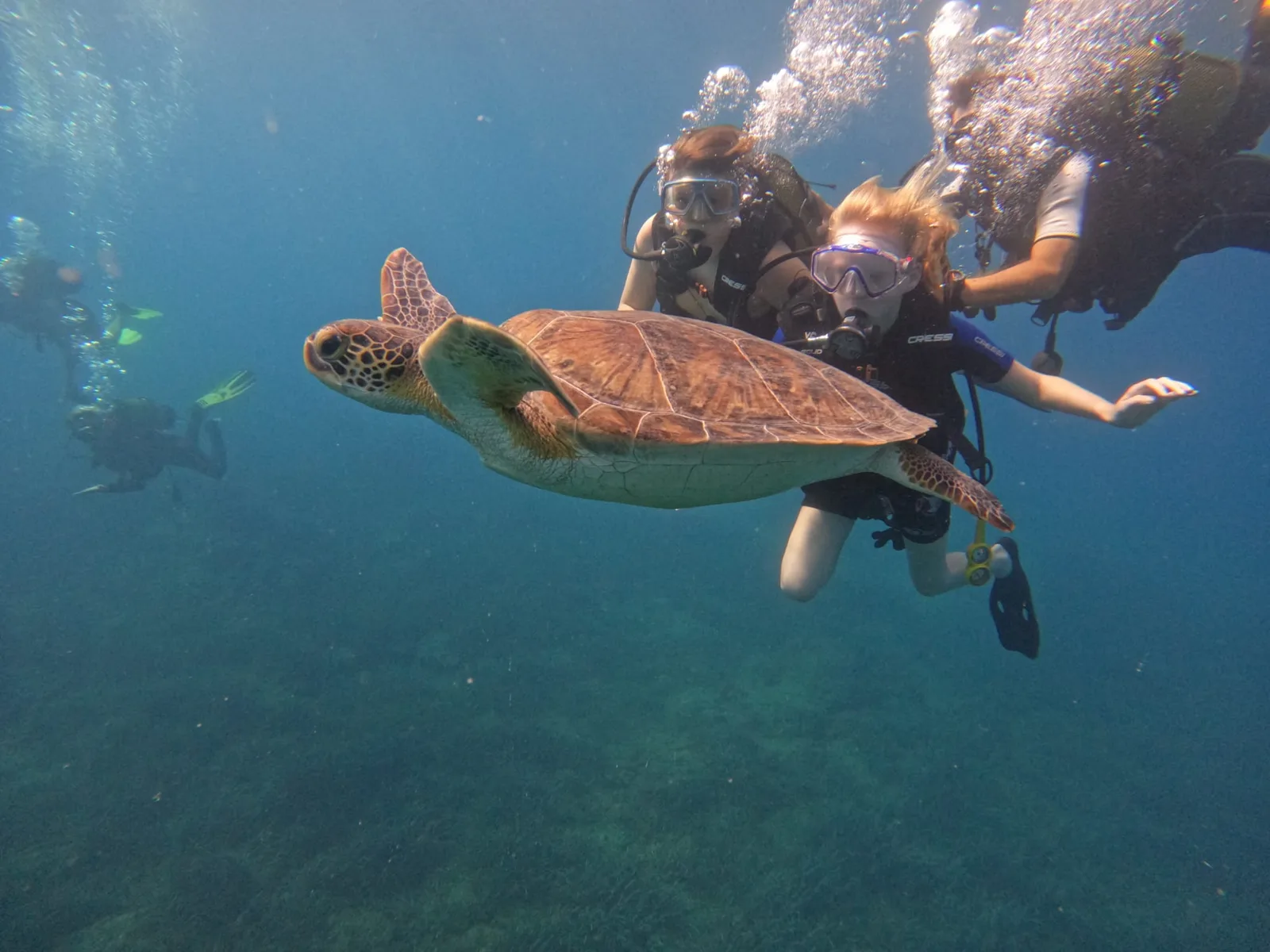 Divers watching a sea turtle in the waters off Alanya