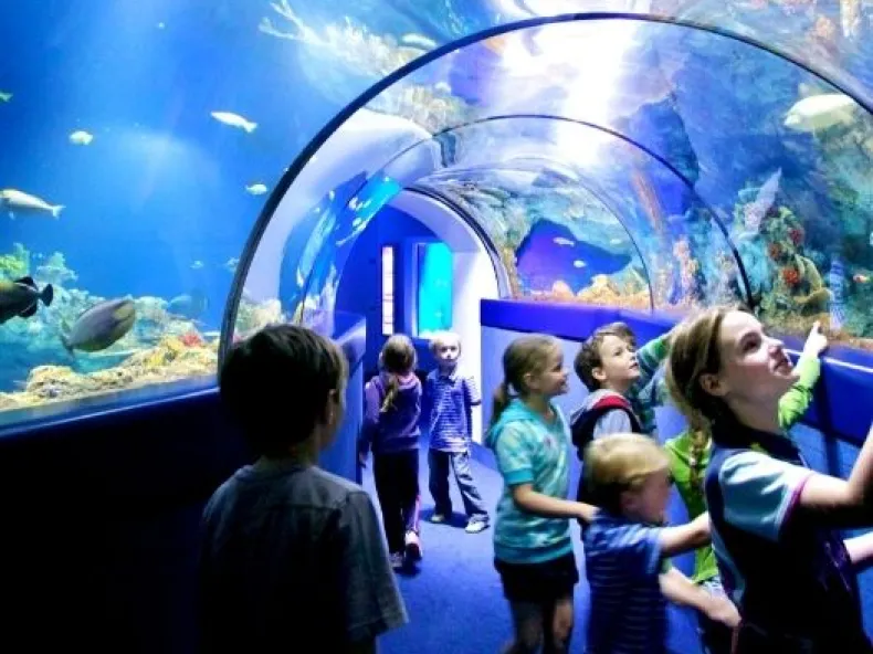 Antalya Aquarium Ticket with Hotel Transfer