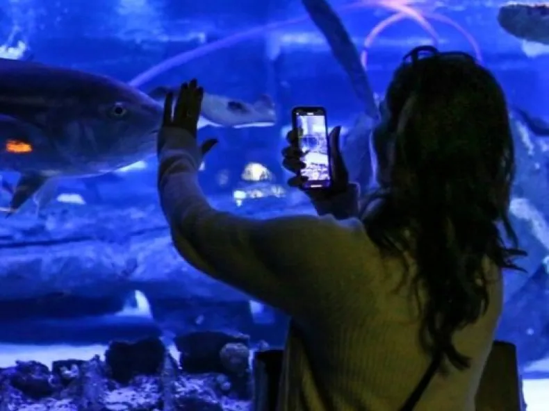 Antalya Aquarium Ticket with Hotel Transfer