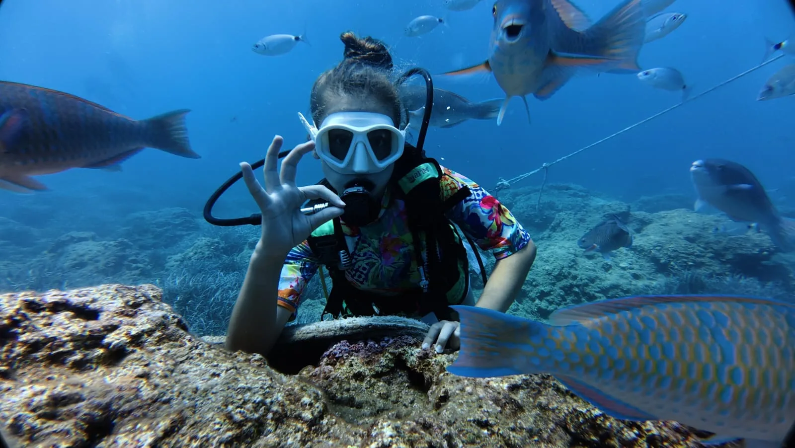 diver among fish shoal antalya