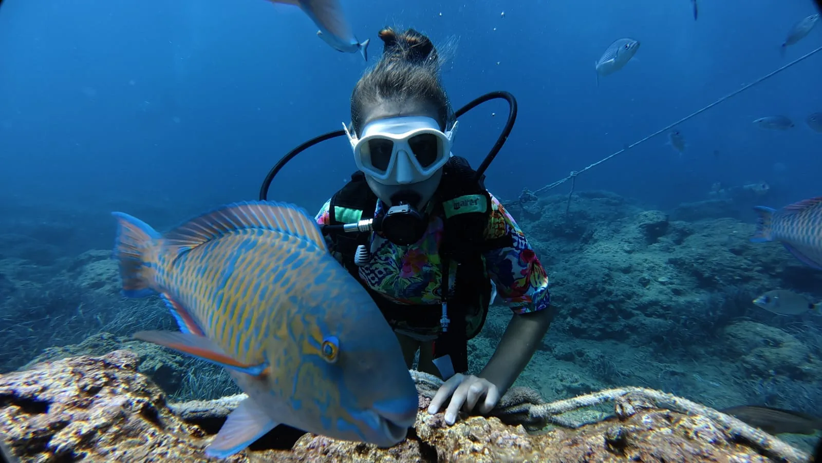 parrotfish passing diver antalya