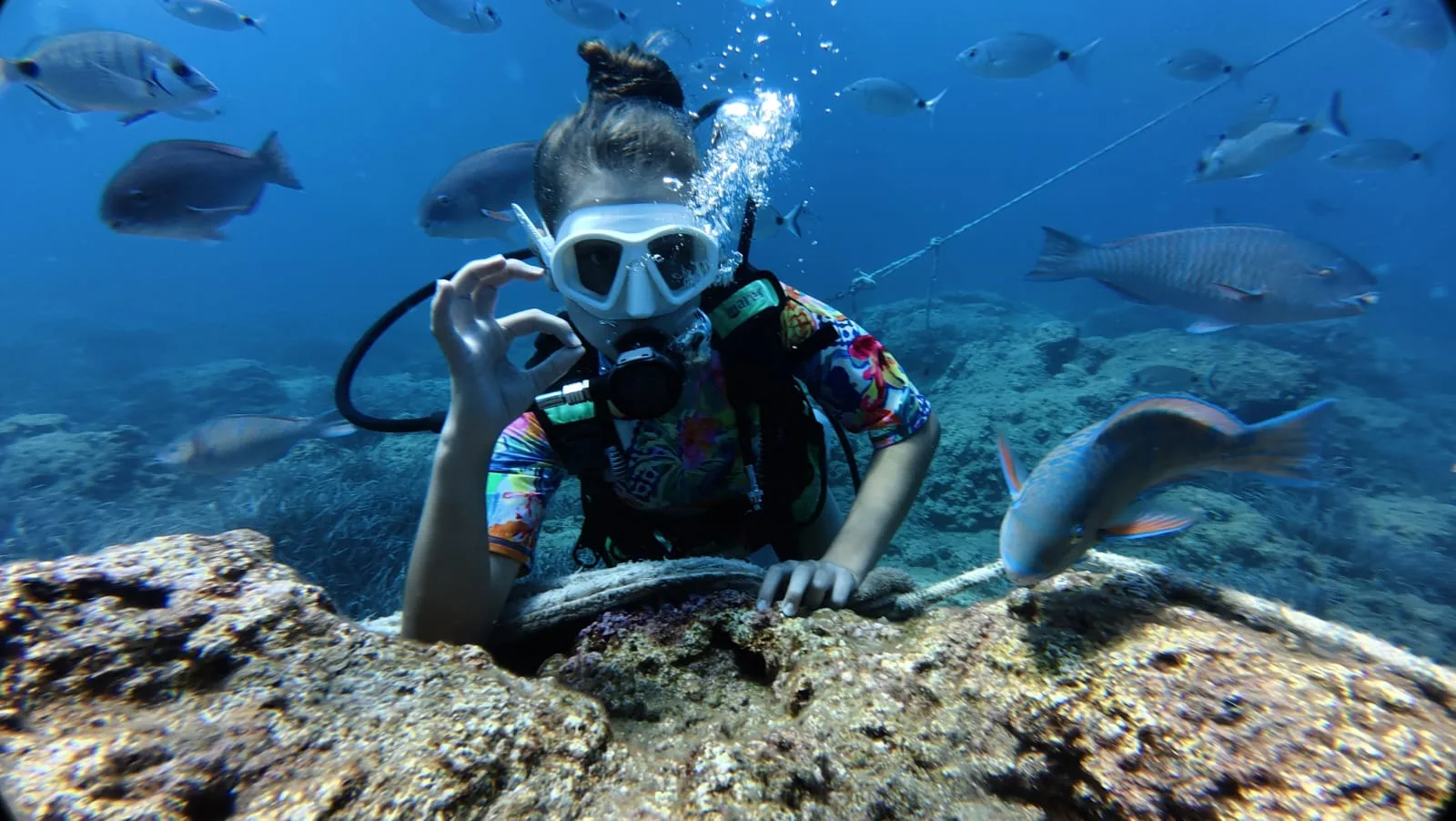 reef fish shoal antalya dive