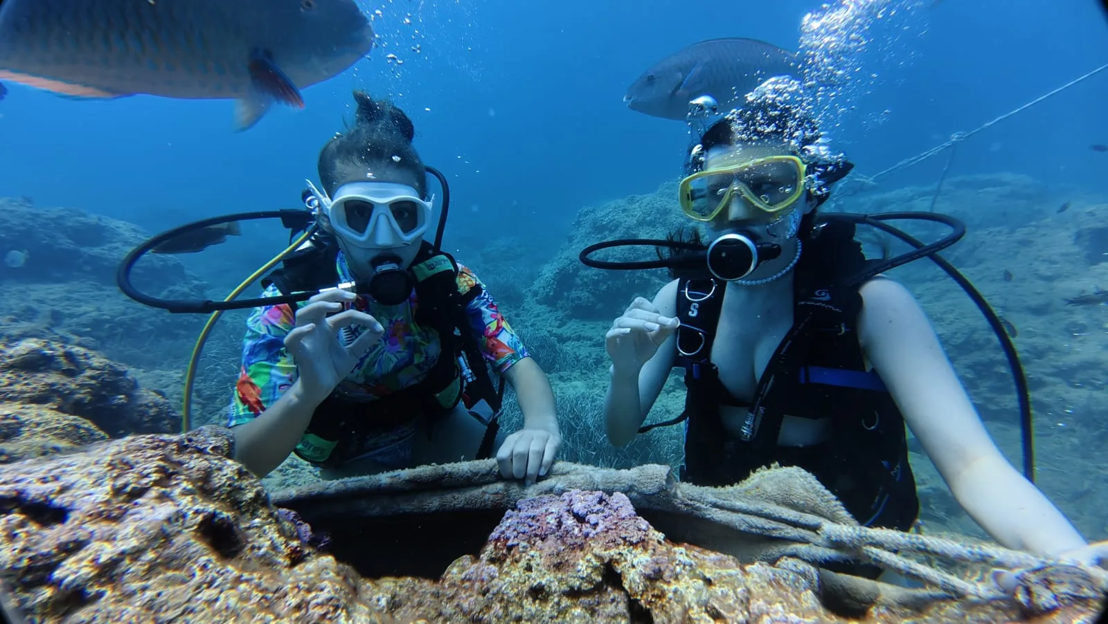 buddy pair reef line kemer
