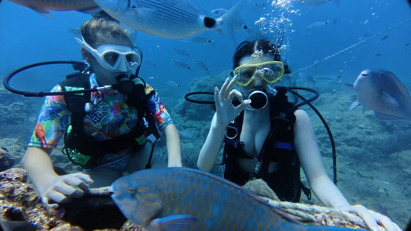 divers pair parrotfish reef kemer