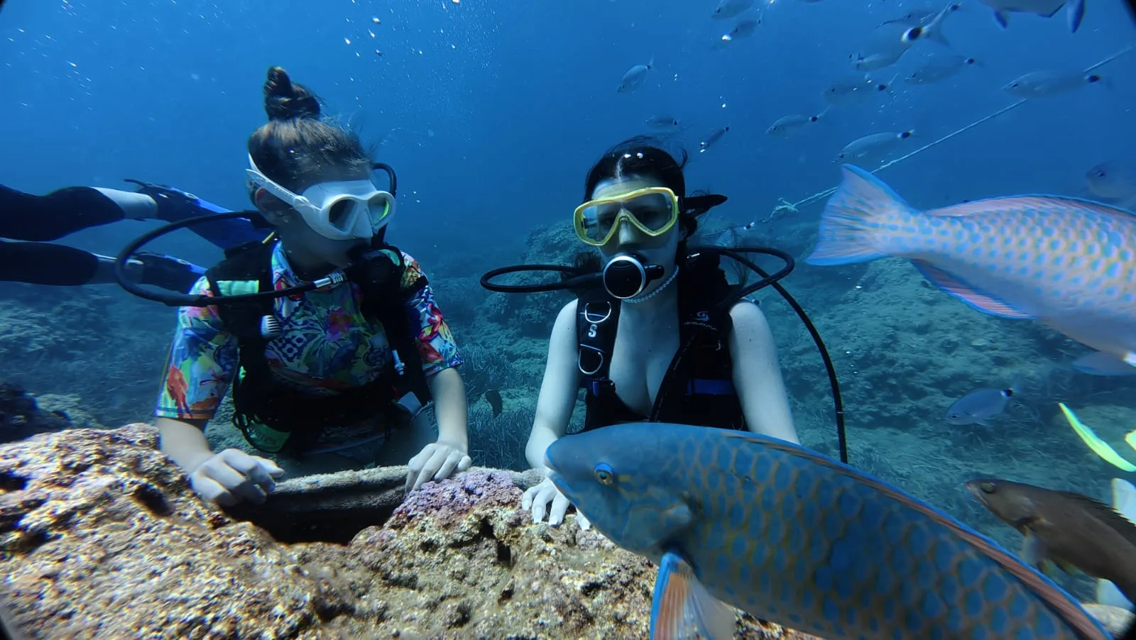 two divers with parrotfish kemer