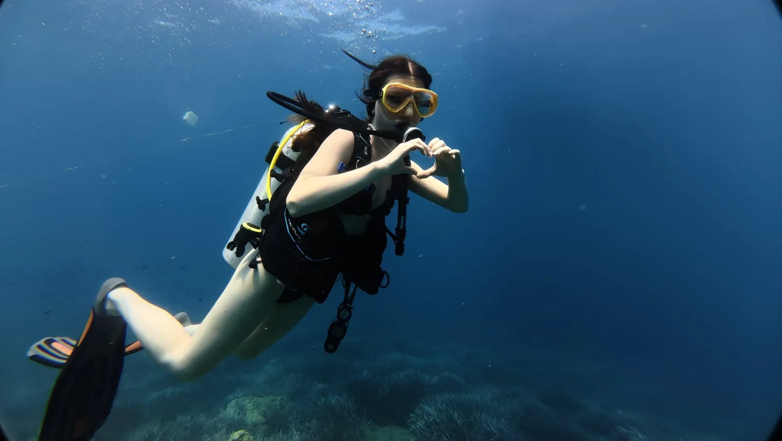 diver gliding over seagrass side