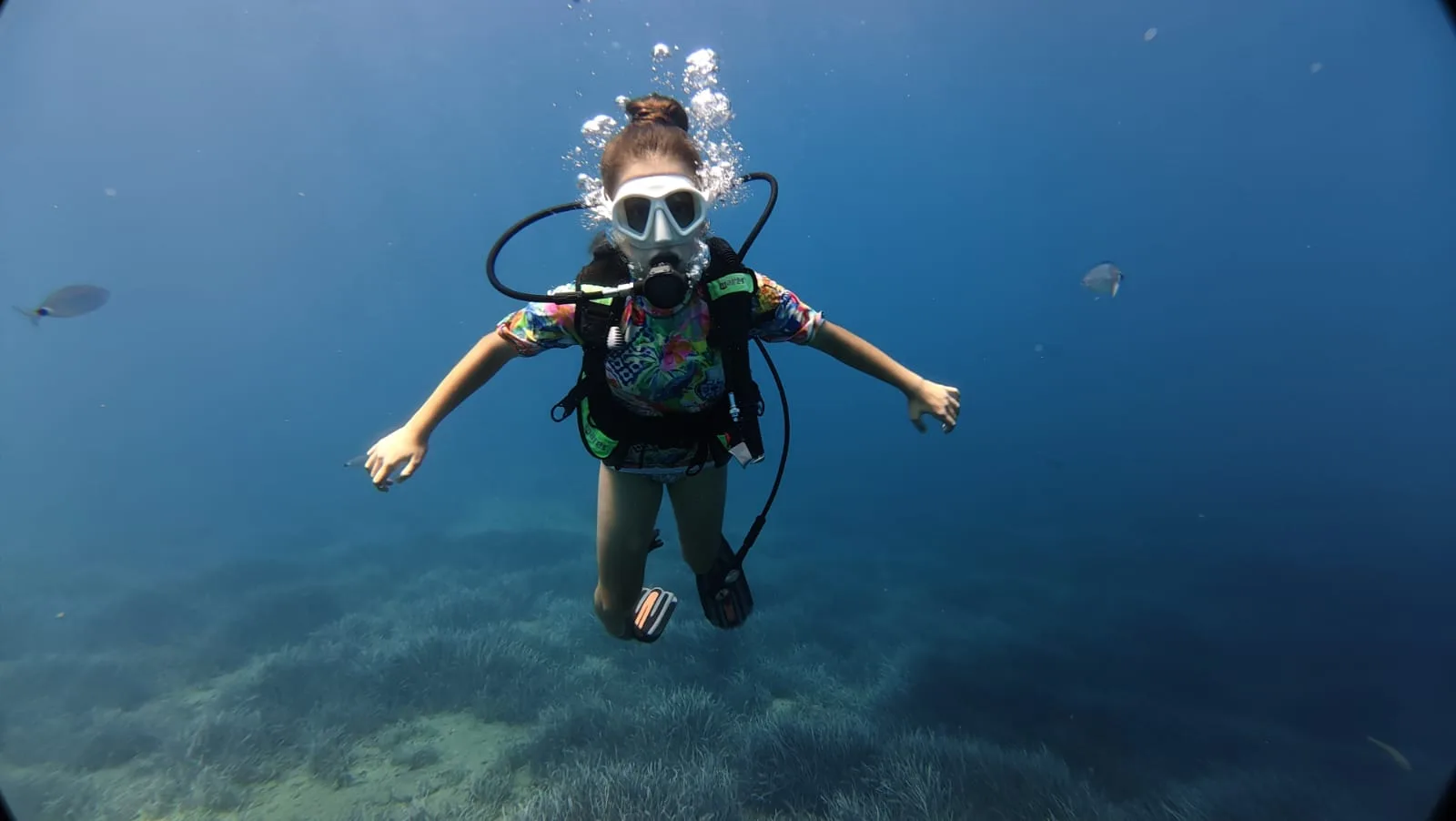 first dive arms out blue water