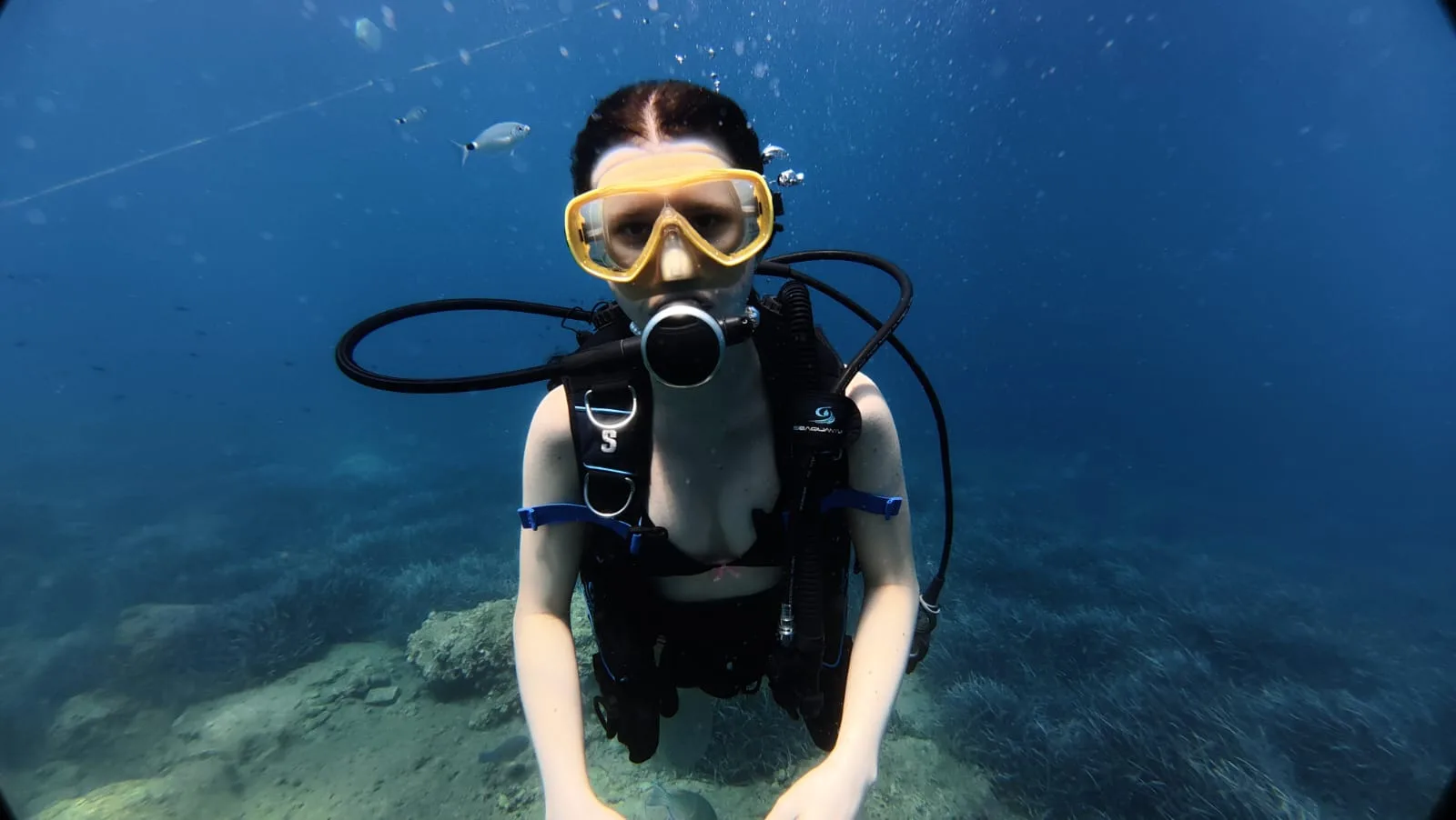 young diver facing camera reef