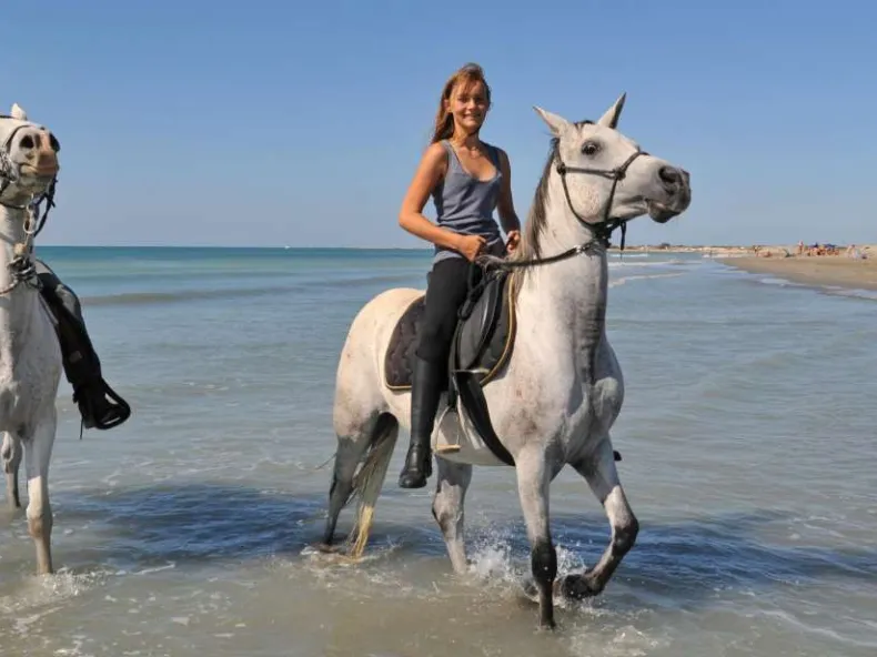 Side Horse Riding: Guided Pine Forest & Beach Ride with Hotel Pickup