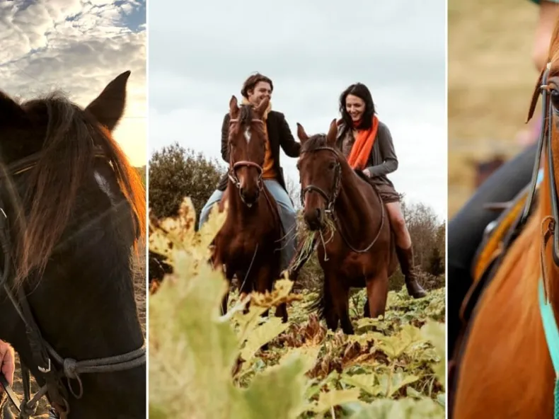 Side Horse Riding: Guided Pine Forest & Beach Ride with Hotel Pickup
