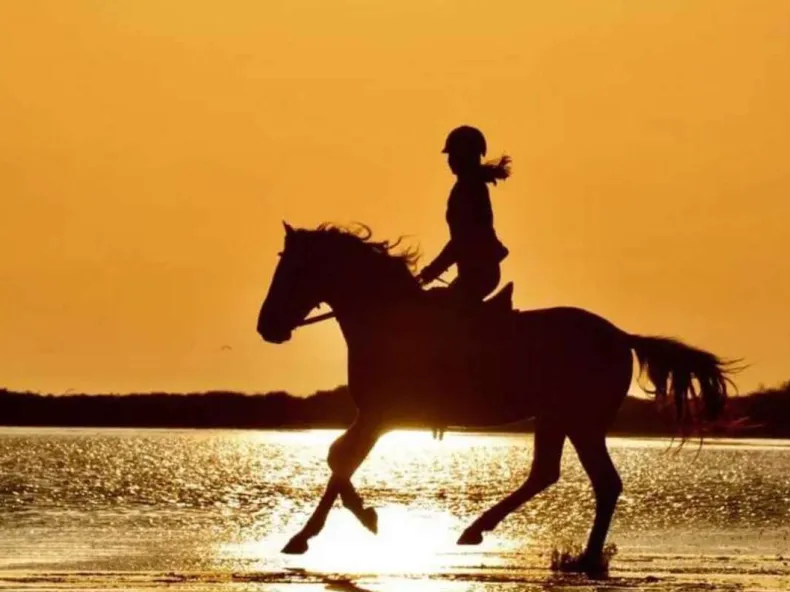 Side Horse Riding: Guided Pine Forest & Beach Ride with Hotel Pickup