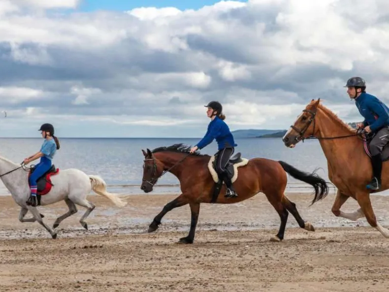 Side Horse Riding: Guided Pine Forest & Beach Ride with Hotel Pickup