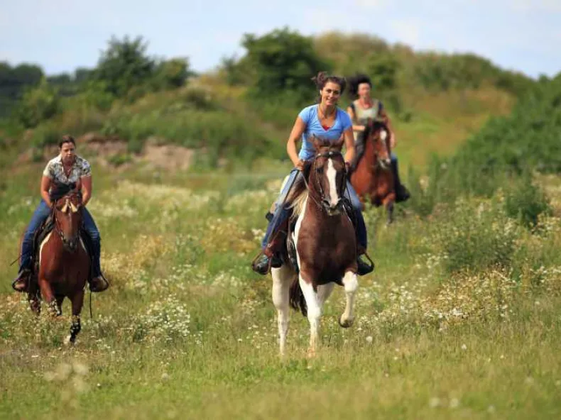 Side Horse Riding: Guided Pine Forest & Beach Ride with Hotel Pickup