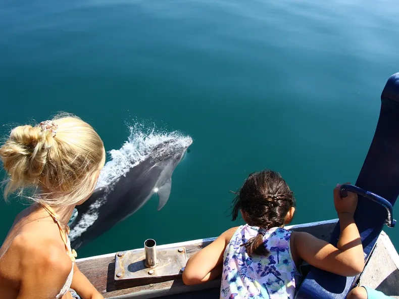 Side Dolphin Island Boat Tour with River & Sea Swim